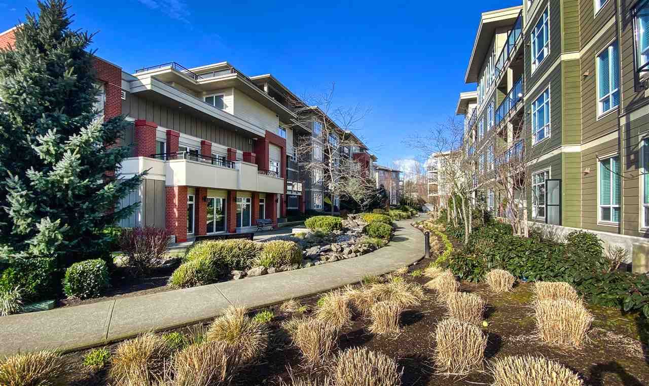 Main Photo: F101 20211 66 Avenue in Langley: Willoughby Heights Condo for sale in "Elements" : MLS®# R2540385
