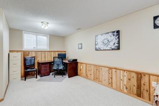 Photo 28: 22 Big Springs Rise SE: Airdrie Detached for sale : MLS®# A1221556