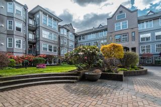 Photo 1: 213 20200 56 Avenue in Langley: Langley City Condo for sale in "THE BENTLEY" : MLS®# R2677561