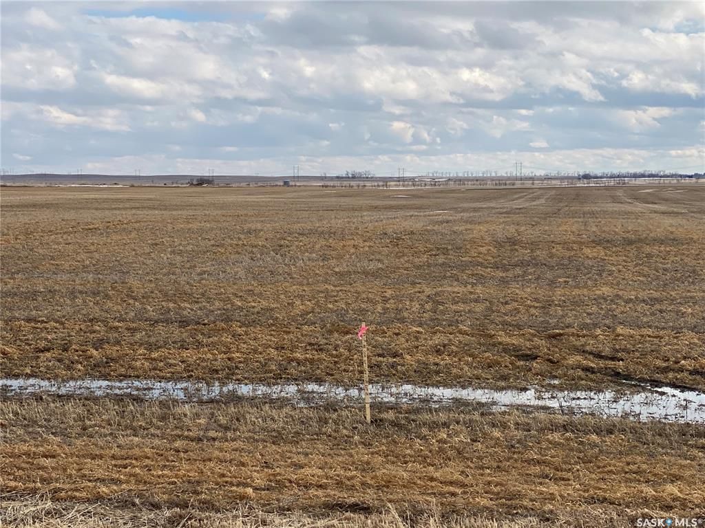 Main Photo: Condie Acreage 2 in Sherwood: Lot/Land for sale (Sherwood Rm No. 159)  : MLS®# SK889983
