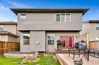 Photo 36: 178 Chaparral Valley Way SE in Calgary: Chaparral Detached for sale : MLS®# A1233188