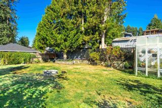 Photo 33: 32989 ARBUTUS Avenue in Mission: Mission BC House for sale : MLS®# R2816195