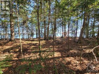 Photo 7: 0000 DONNELLY BAY in White Lake: Vacant Land for sale : MLS®# 1388341