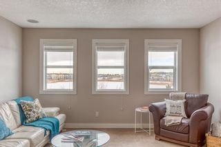 Photo 21: 212 COPPERPOND Circle SE in Calgary: Copperfield Detached for sale : MLS®# C4305503