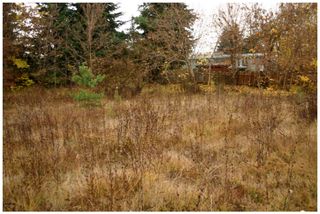 Photo 13: 480 Southeast 30 Street in Salmon Arm: SE Vacant Land for sale : MLS®# 10171761