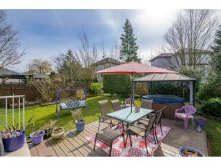 Photo 35: 18246 69 Avenue in Surrey: Cloverdale BC House for sale in "CLOVERWOODS" (Cloverdale)  : MLS®# R2552795