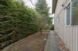 Photo 25: 6569 Tamany Dr in Central Saanich: CS Tanner House for sale : MLS®# 922985