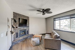 Photo 21: 137 Bridlecreek Park SW in Calgary: Bridlewood Detached for sale : MLS®# A1240143