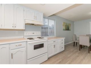 Photo 29: 20285 123 Avenue in Maple Ridge: Northwest Maple Ridge House for sale : MLS®# R2678867