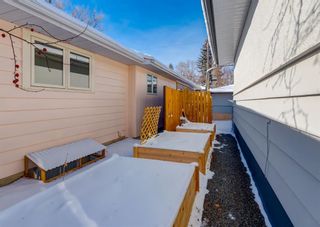 Photo 44: 43 Fenton Road SE in Calgary: Fairview Detached for sale : MLS®# A1185696