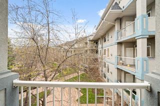 Photo 22: 301 2419 Erlton Road SW in Calgary: Erlton Apartment for sale : MLS®# A2126322
