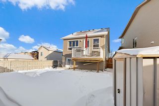 Photo 17: 57 Martinvalley Crescent NE in Calgary: Martindale Detached for sale : MLS®# A2016423