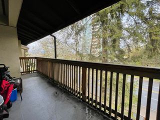 Photo 12: 311 10061 150 Street in Surrey: Guildford Condo for sale in "Forest Manor" (North Surrey)  : MLS®# R2676381