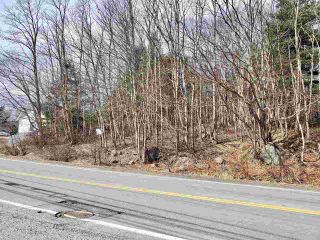 Photo 2: Lot Highway 3 in Sandy Cove: 406-Queens County Vacant Land for sale (South Shore)  : MLS®# 202004810