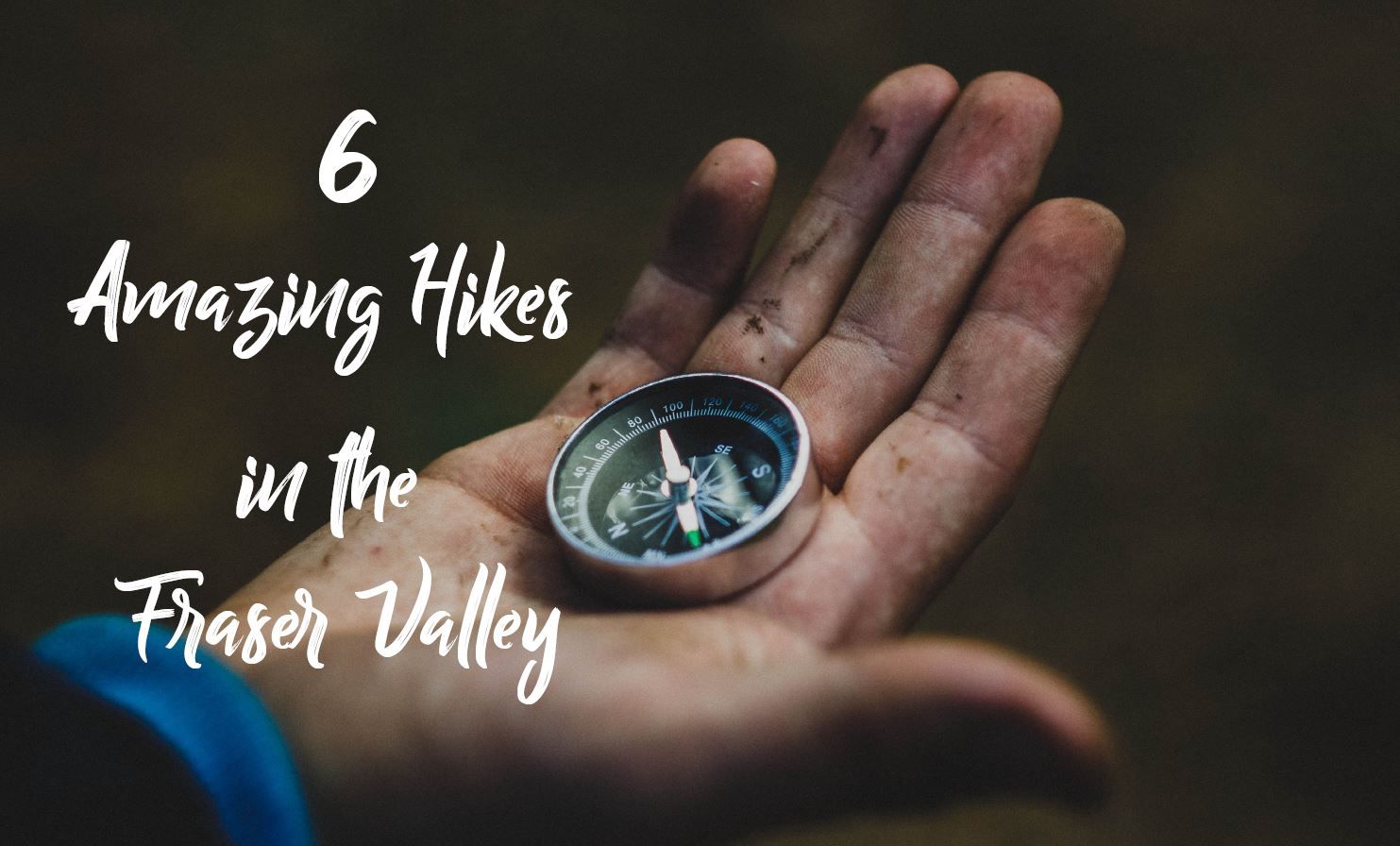 6 Amazing Hikes in the Fraser Valley