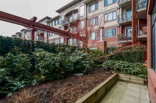 Photo 16: 109 11882 226 Street in Maple Ridge: East Central Condo for sale : MLS®# R2147978