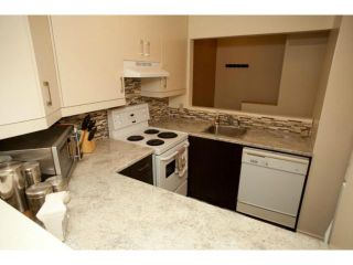 Photo 8: 220 Goulet Street in WINNIPEG: St Boniface Condominium for sale (South East Winnipeg)  : MLS®# 1215397