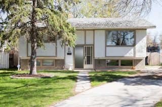 Photo 1: 63 Sage Crescent in Winnipeg: Crestview House for sale (5H)  : MLS®# 1912618