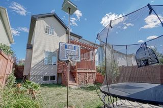 Photo 33: 10 Crystal Shores Hill: Okotoks Detached for sale : MLS®# A2003339