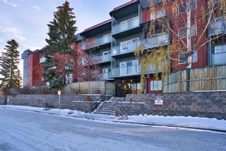 Photo 1: 207 335 Garry Crescent NE in Calgary: Greenview Apartment for sale : MLS®# A2010444