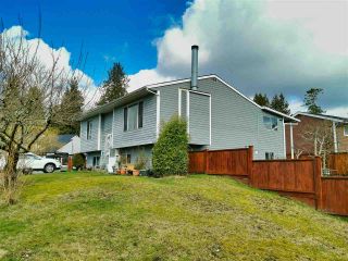 Photo 1: 19849 53A Avenue in Langley: Langley City House for sale : MLS®# R2544067