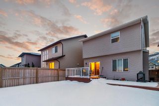 Photo 33: 432 Chaparral Valley Way SE in Calgary: Chaparral Detached for sale : MLS®# A1082002
