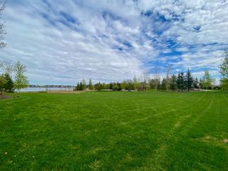 Photo 41: 70 Auburn Bay Gardens SE in Calgary: Auburn Bay Detached for sale : MLS®# A1254155