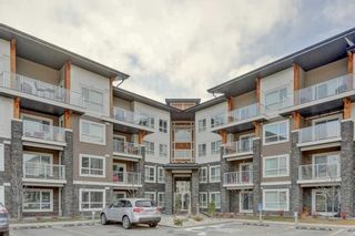Main Photo: 4315 240 Skyview Ranch Road NE in Calgary: Skyview Ranch Apartment for sale : MLS®# A2120283