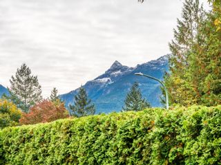 Photo 39: 40221 BRAEMAR Drive in Squamish: Garibaldi Highlands House for sale : MLS®# R2726281