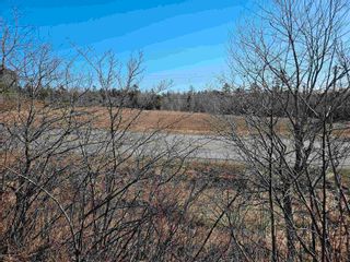 Photo 4: 5180 HIGHWAY 4 in Alma: 108-Rural Pictou County Vacant Land for sale (Northern Region)  : MLS®# 202406624