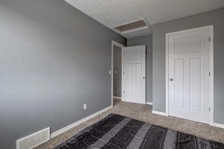 Photo 22: 1221 Ravenswood Drive: Airdrie Detached for sale : MLS®# A2119354