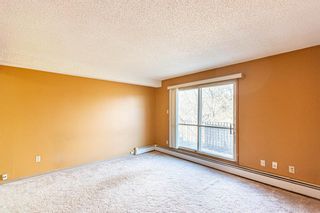 Photo 10: 103 4328 4 Street NW in Calgary: Highland Park Apartment for sale : MLS®# A2011295