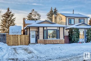 Photo 50: 2018 108B Street in Edmonton: Zone 16 House for sale : MLS®# E4324424