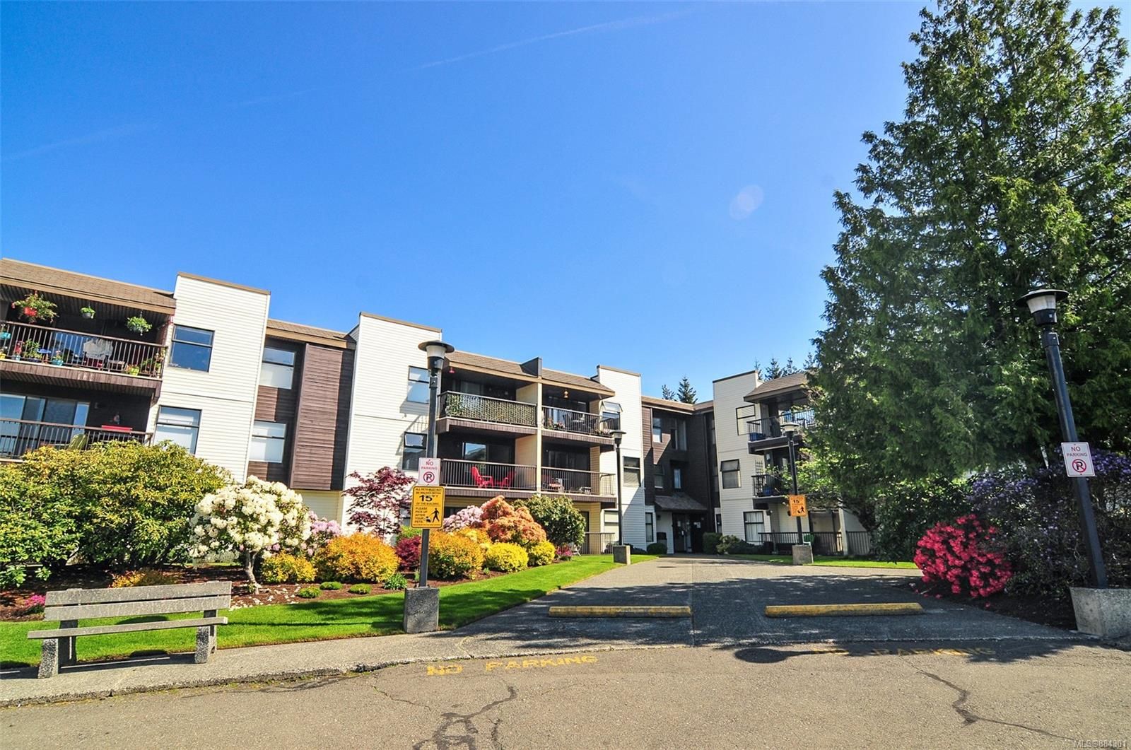 Main Photo: 210 585 S Dogwood St in Campbell River: CR Campbell River Central Condo for sale : MLS®# 884301