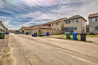 Photo 48: 10606 Cityscape Drive NE in Calgary: Cityscape Row/Townhouse for sale : MLS®# A2058908