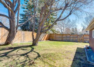 Photo 6: 203 Dalhurst Way NW in Calgary: Dalhousie Detached for sale : MLS®# A2129462