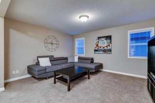 Photo 20: 161 Marquis Point SE in Calgary: Mahogany Detached for sale : MLS®# A2047296