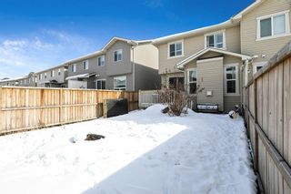 Photo 31: 9 Brightoncrest Grove SE in Calgary: New Brighton Semi Detached (Half Duplex) for sale : MLS®# A2032544