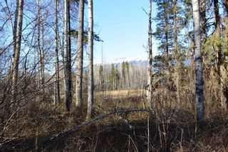 Photo 13: LOT A KLOECKNER Road in Smithers: Smithers - Rural Land for sale (Smithers And Area (Zone 54))  : MLS®# R2598861