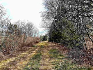 Photo 46: 1684 Caribou Island Road in Caribou Island: 108-Rural Pictou County Residential for sale (Northern Region)  : MLS®# 202307992