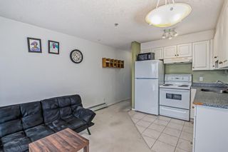 Photo 5: 3307 1620 70 Street SE in Calgary: Applewood Park Apartment for sale : MLS®# A2012657