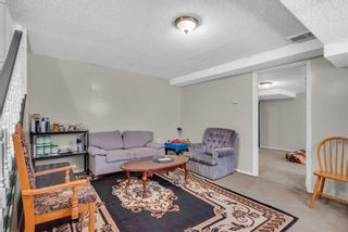 Photo 37: 100 Martindale Crescent NE in Calgary: Martindale Detached for sale : MLS®# A2133003