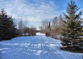 Photo 4:  in Mobile Home Park for sale Northern Alberta: Commercial for sale
