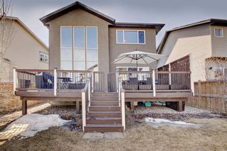 Photo 39: 18 CHAPARRAL VALLEY Grove SE in Calgary: Chaparral Detached for sale : MLS®# A1096599