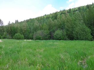 Photo 6: 2880 MOUNTAIN VIEW Road in McBride: McBride - Town Land for sale (Robson Valley)  : MLS®# R2879829