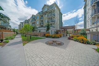 Photo 25: B304 20487 65 AVENUE in Langley: Willoughby Heights Condo for sale : MLS®# R2810096