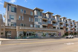 Photo 19: 103 119 19 Street NW in Calgary: West Hillhurst Apartment for sale : MLS®# A1179635