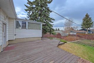 Photo 10: 4311 19 Street NW in Calgary: Charleswood Detached for sale : MLS®# A2127918