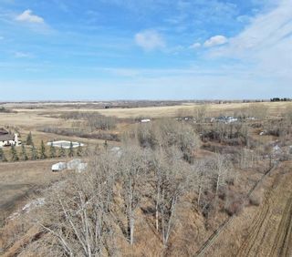 Photo 11: 3 Shannon Mews: Rural Foothills County Residential Land for sale : MLS®# A2024894