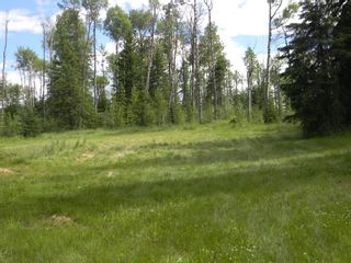 Photo 7: 127 Meadow Ponds Drive: Rural Clearwater County Land for sale : MLS®# A1021050